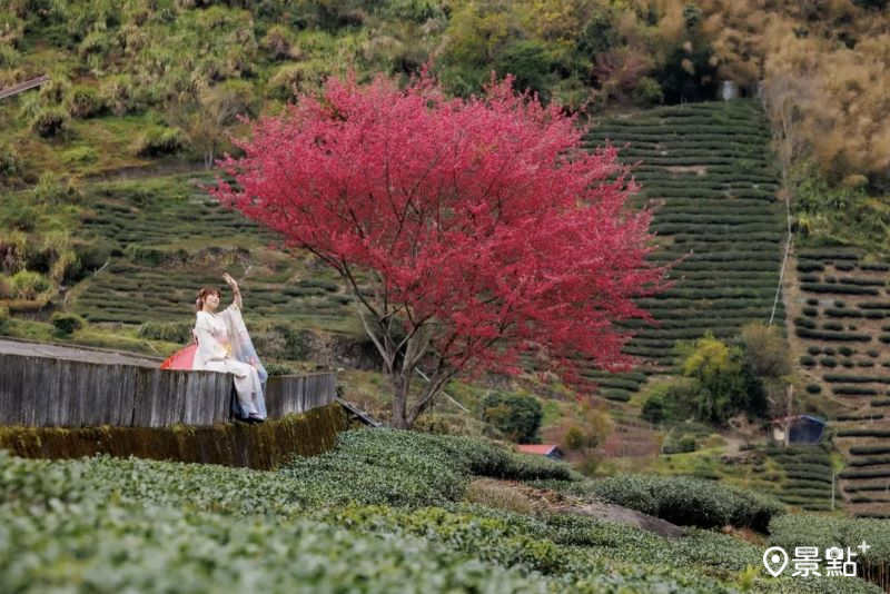 （圖／apple690523，以下同）