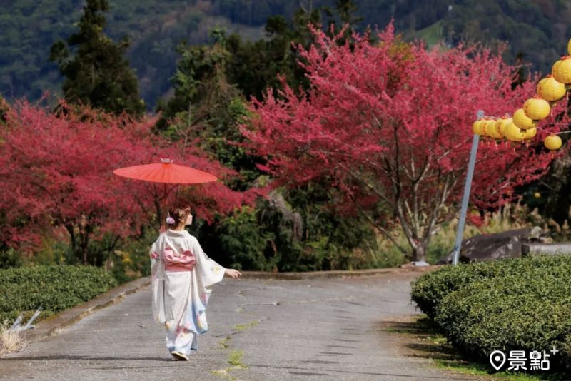 （圖／apple690523，以下同）