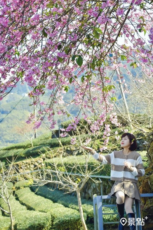 （圖／an700328）