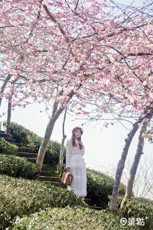 （圖／lyxingyingxie）