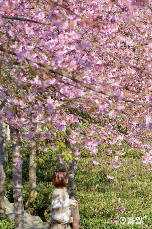 （圖／an700328）