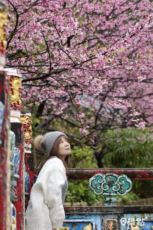 （圖／meow_hm_a1522c2418，以下同） 