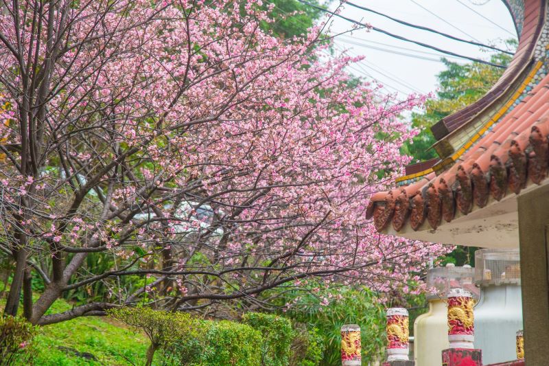 （圖／壽山巖觀音寺-嶺頂廟） 