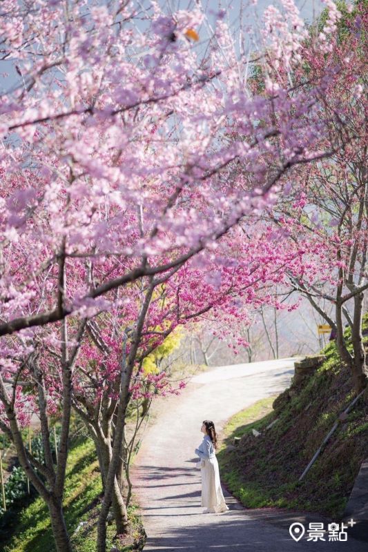 （圖／karenfaith_chiang）