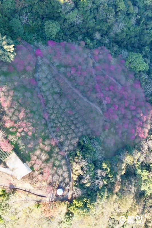 （圖／shih_hsuan6260）