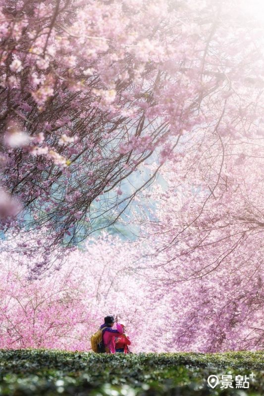 （圖／bo_xiang_0709）