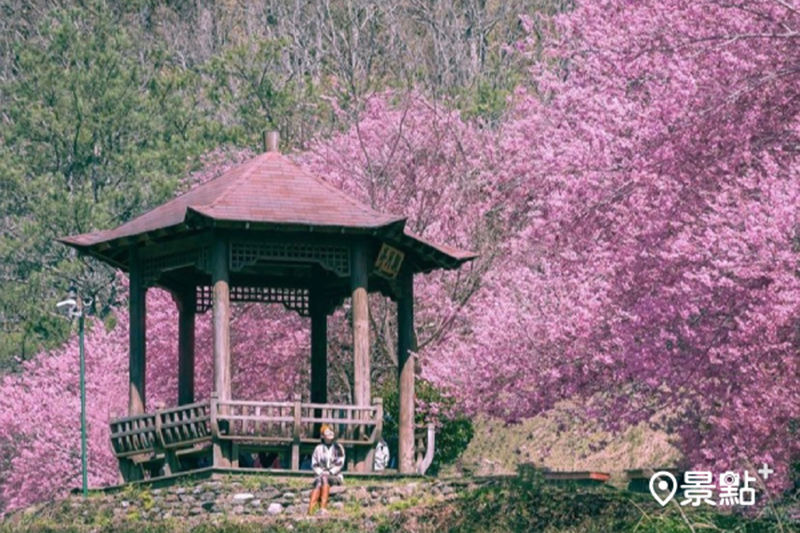 （圖／n._.1603）