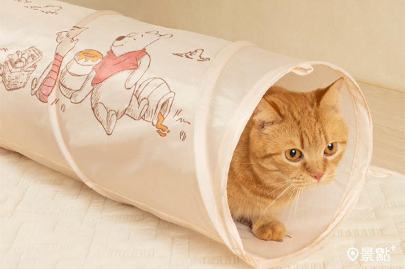 小熊維尼-故事書貓隧道。