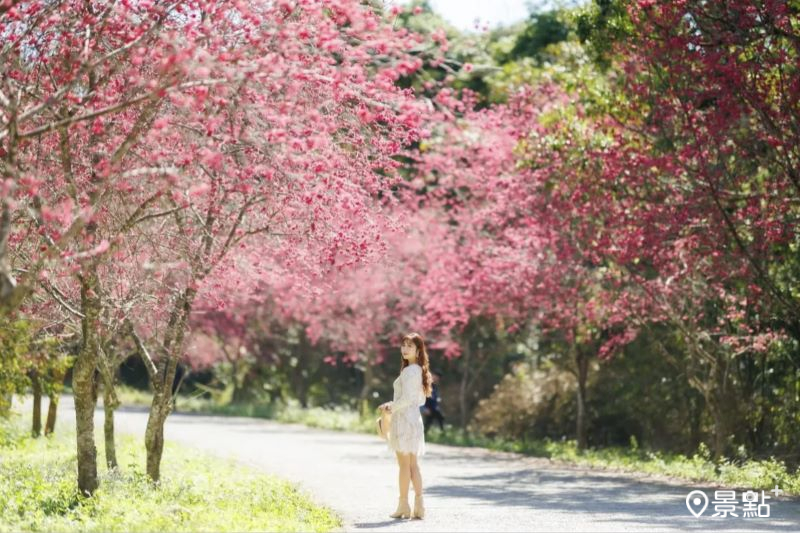 （圖／apple690523，以下同）