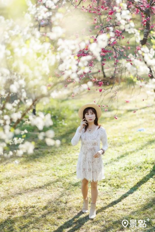 （圖／apple690523，以下同）