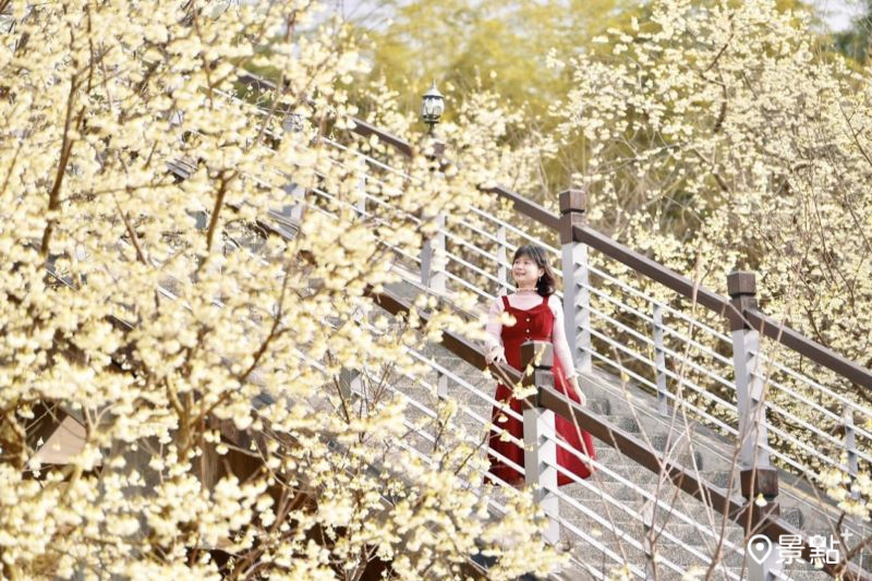 （圖／laiyuping9520，以下同）