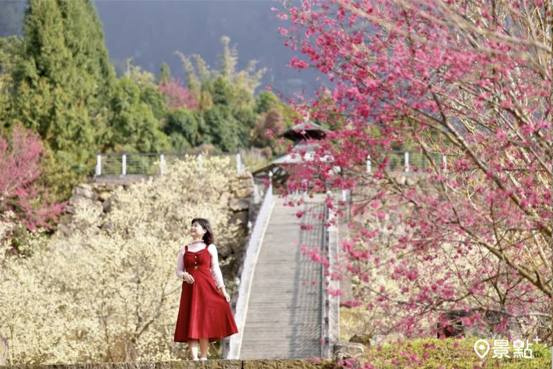 （圖／laiyuping9520）