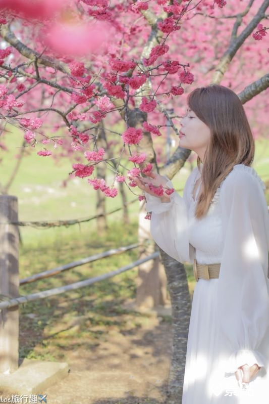 （圖／aaa123471，以下同）