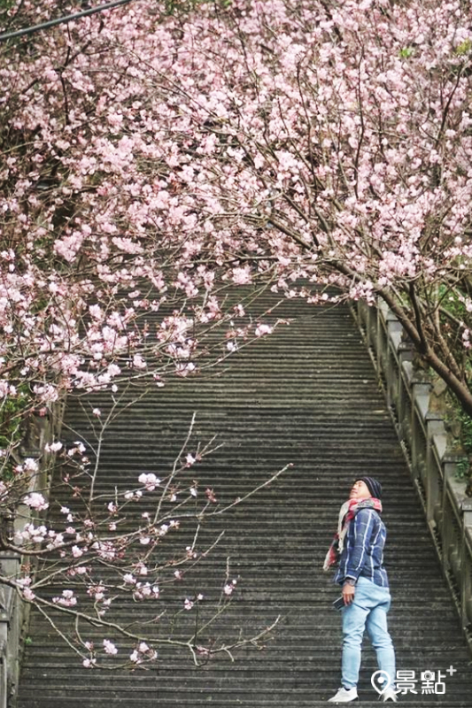 （圖／chih07090616，以下同）