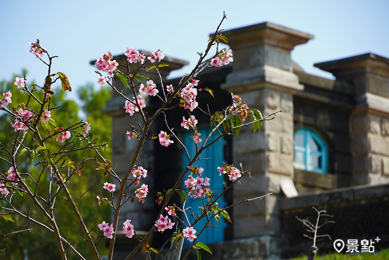 山上花園水道博物館(櫻花)。