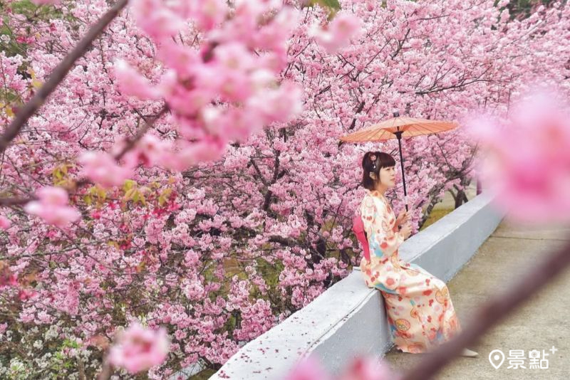 （圖／an700328，以下同）