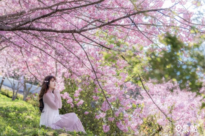 （圖／molly888666）