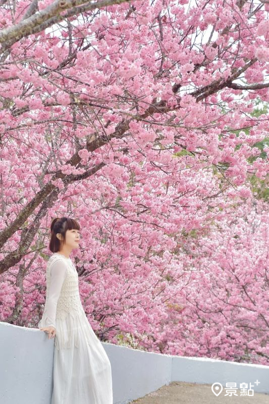 （圖／an700328）