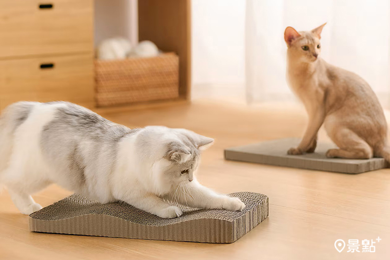 寵物用品系列 (預計6月上市) 。