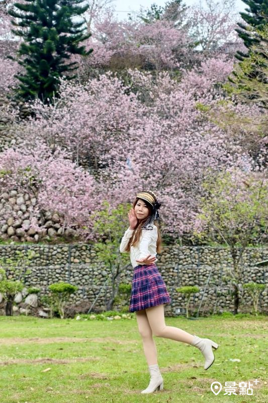 （圖／lyxingyingxie） 