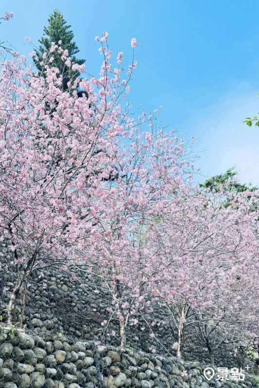 （圖／crj._.daily） 