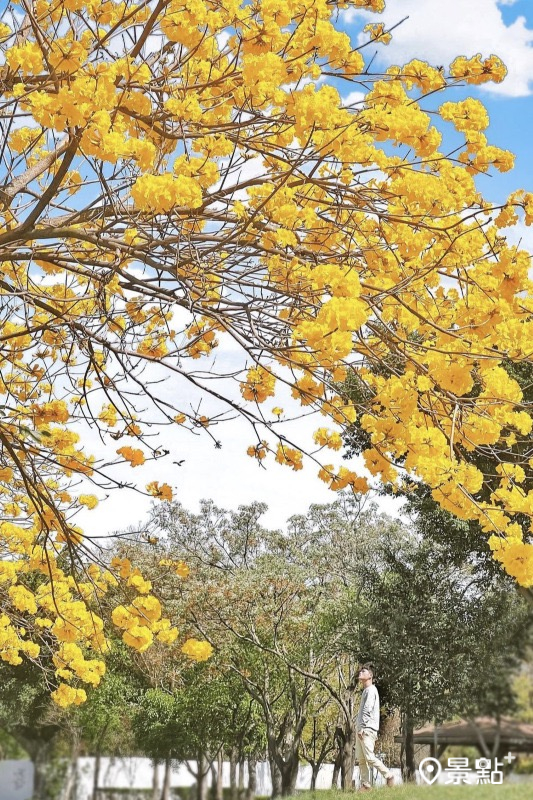 （圖／sunlightbai）