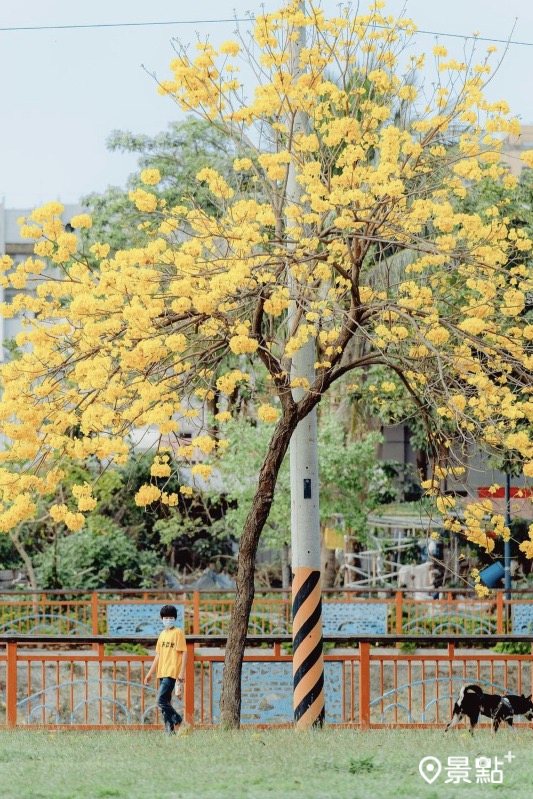 （圖／chinling_kuo）