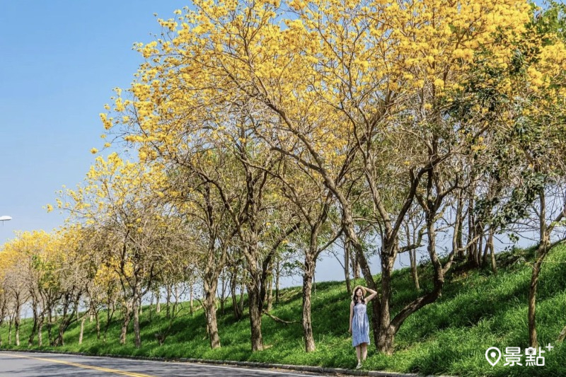 （圖／double.leo.tw）