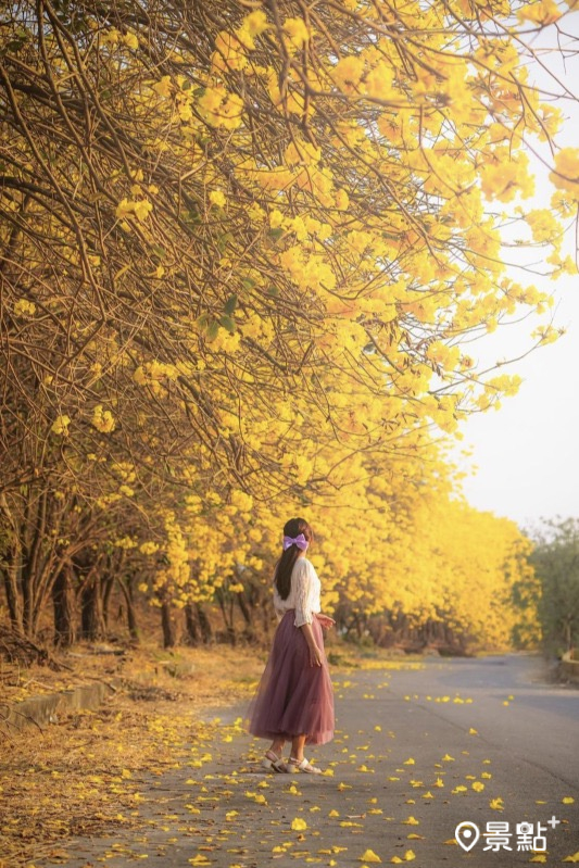 （圖／syl.vialife）