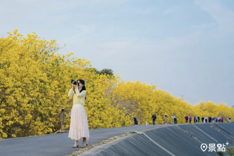 （圖／michellehuang1108）