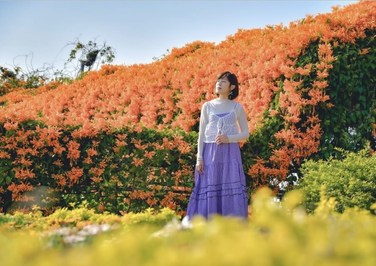 超炸炮仗花海大綻放！春天百花齊放火炎山同框期間限定花景