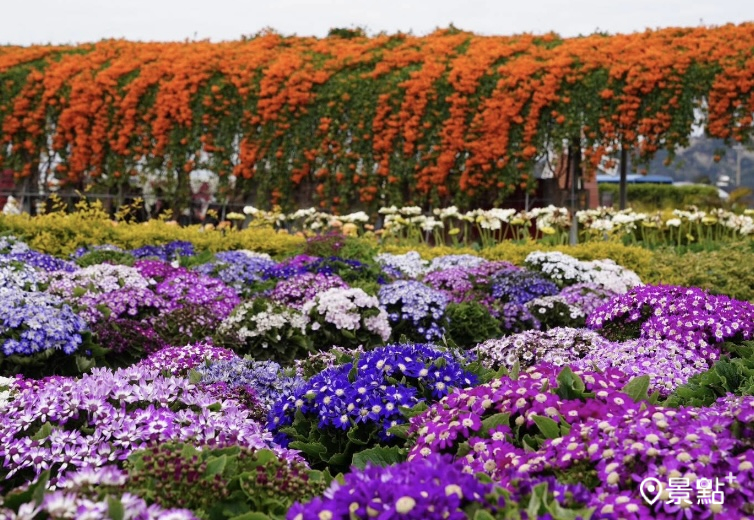 (圖／中社花市)