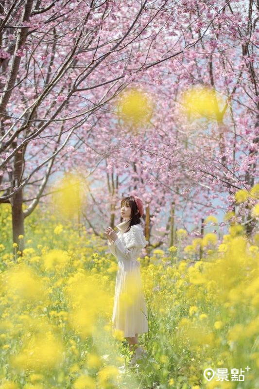 （圖／pierrehuang）