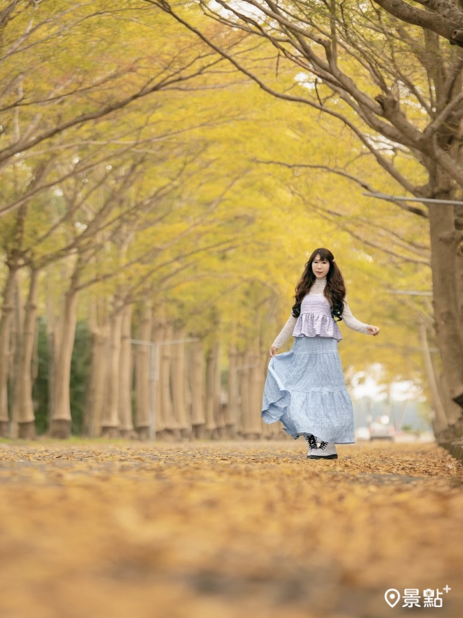 圖 / molly888666