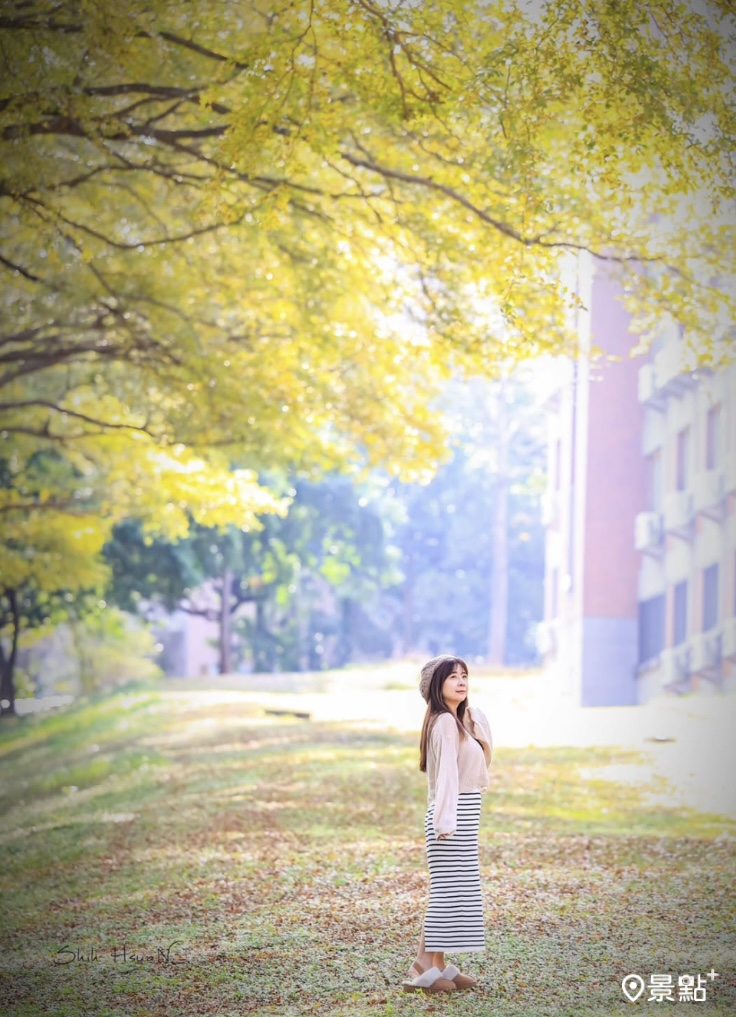 （圖 / shih_hsuan6260） 