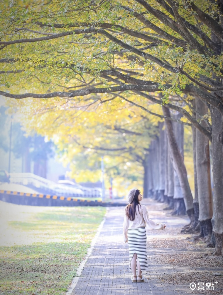 （圖 / shih_hsuan6260） 