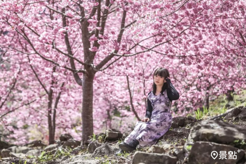 （圖／aday0530，以下同）