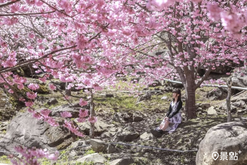 （圖／aday0530，以下同）