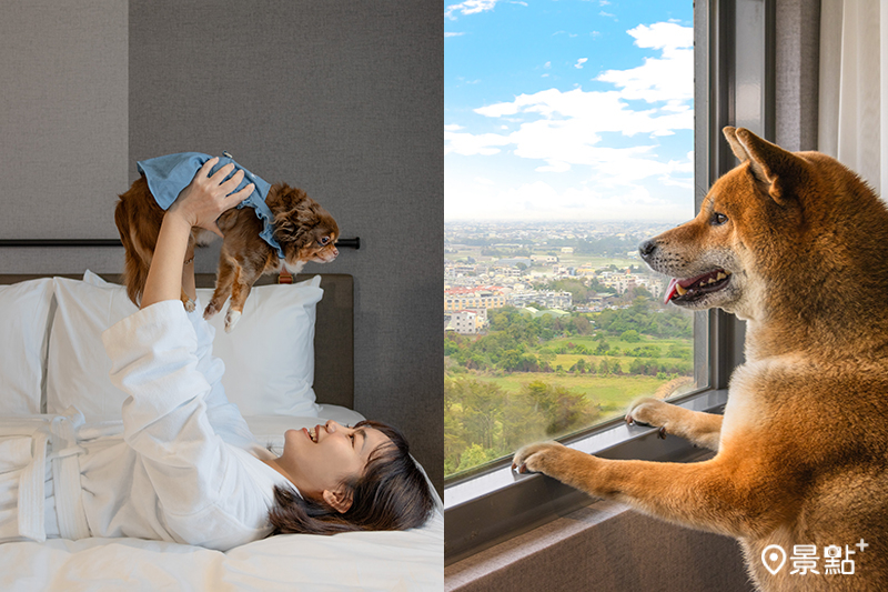 嘉義福容 voco 酒店推出「毛孩同行」專案，讓主人和毛孩可同房入住。（圖／嘉義福容voco酒店，以下同）