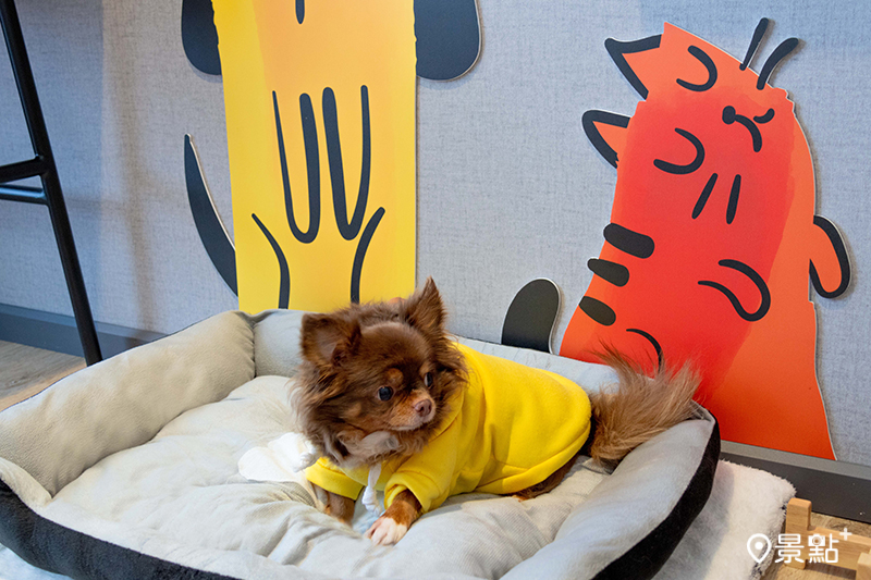 在寵物友善房型中，酒店貼心為毛孩準備舒適睡墊。