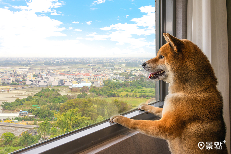 每房最多可攜帶2 隻犬／貓，和毛孩一同飽覽嘉南平原美景。