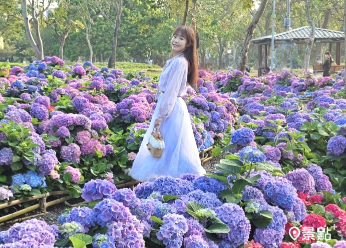 捷運可到繡球花海搶拍中！杜鵑花季繽紛花卉市集表演春遊必玩