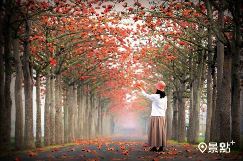 （圖／erin_ss.89）