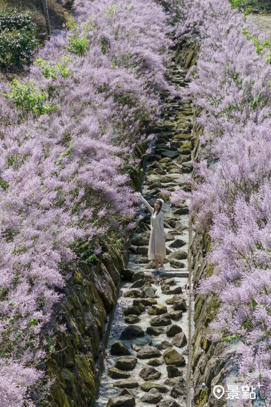 （圖／pierrehuang）