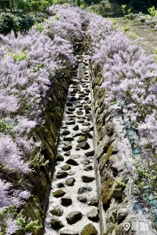 （圖／pierrehuang）