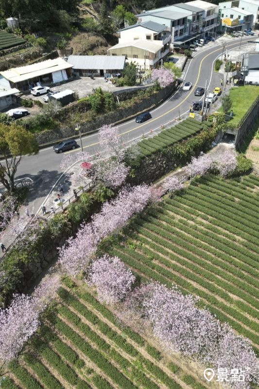 （圖／hsingfang20，以下同）