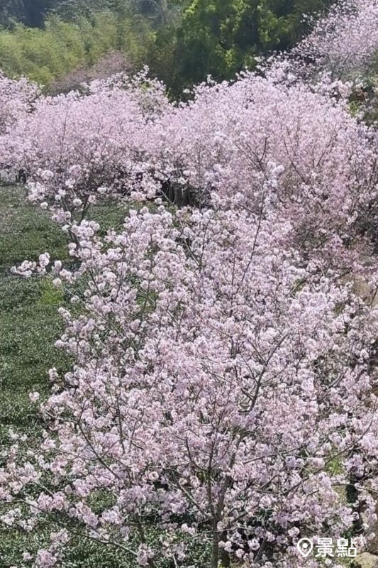 （圖／hsingfang20，以下同）