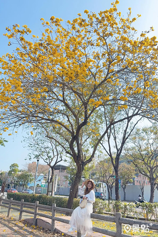 （圖／ariel_apple419）