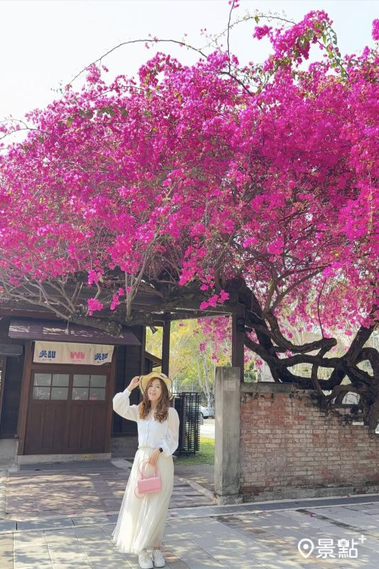 （圖／ariel_apple419）