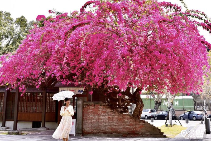 （圖／laiyuping9520）